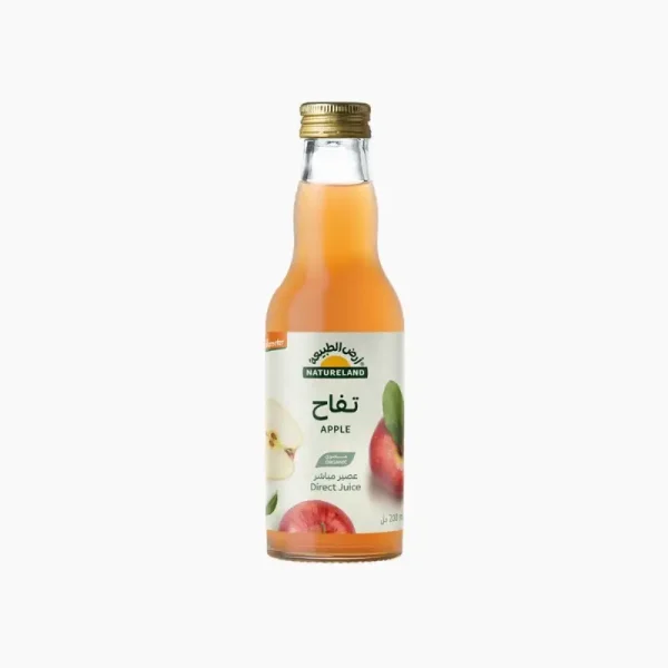 APPLE JUICE 200 ML