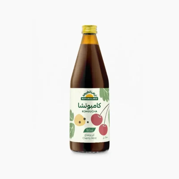 59 NL KOMBUCHA CHERRY MINT 330ML