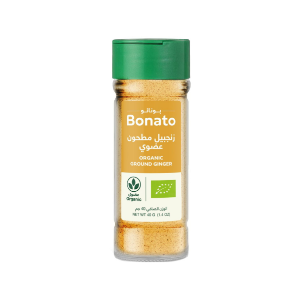 Natureland ORGANIC GROUND GINGER 40G